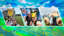 Discovery splash banner for BernieAndCreamGO Discord server
