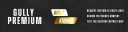Discovery splash banner for Gully Studios Discord server