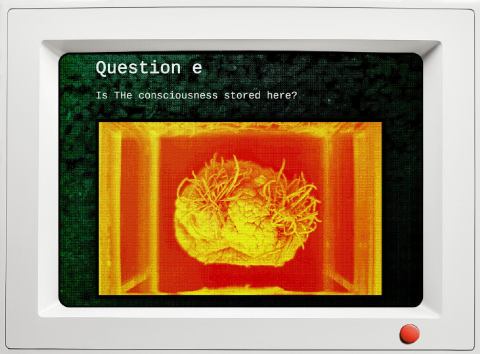 Qualia screenshot 4