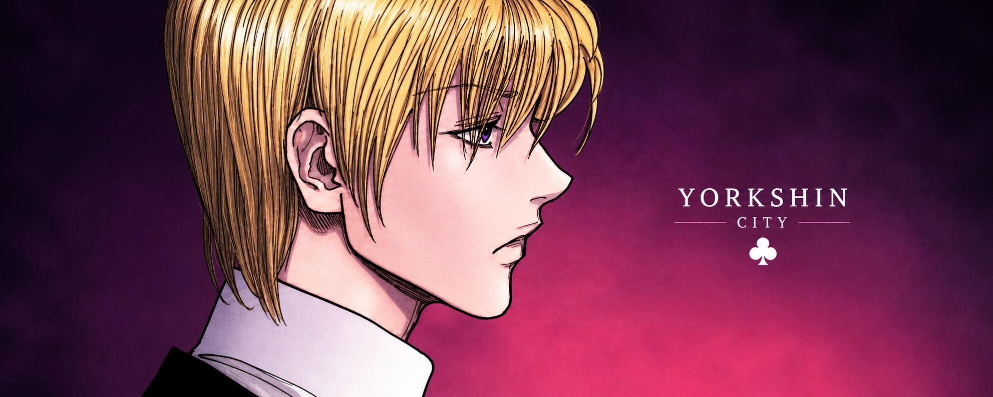 Discovery splash banner for Yorkshin City Discord server