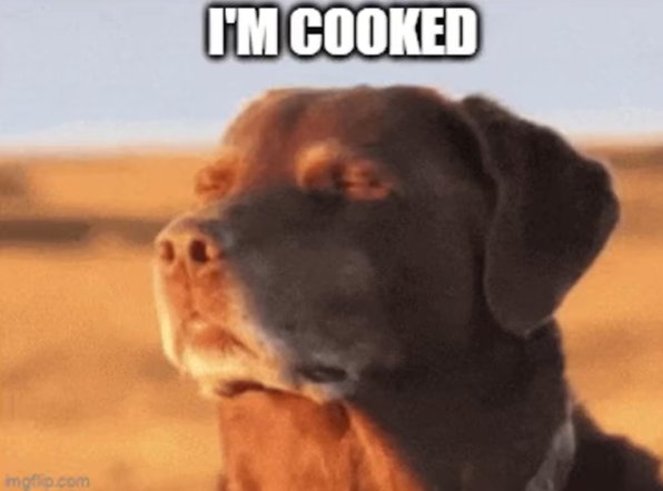 Discovery splash banner for server is dead Discord server