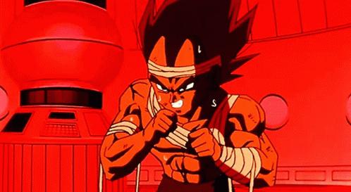 Discovery splash banner for Vegeta's Gravity Chamber Discord server