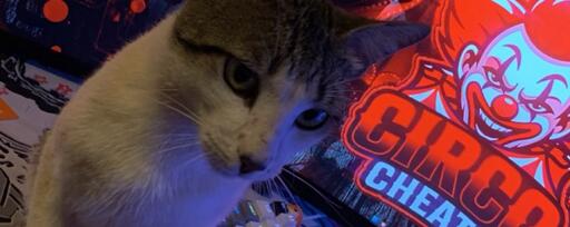 Discovery splash banner for circo・#go10k Discord server