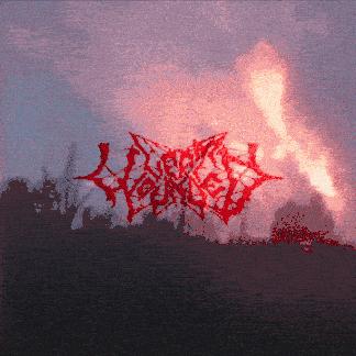 Discovery splash banner for left wounded Discord server