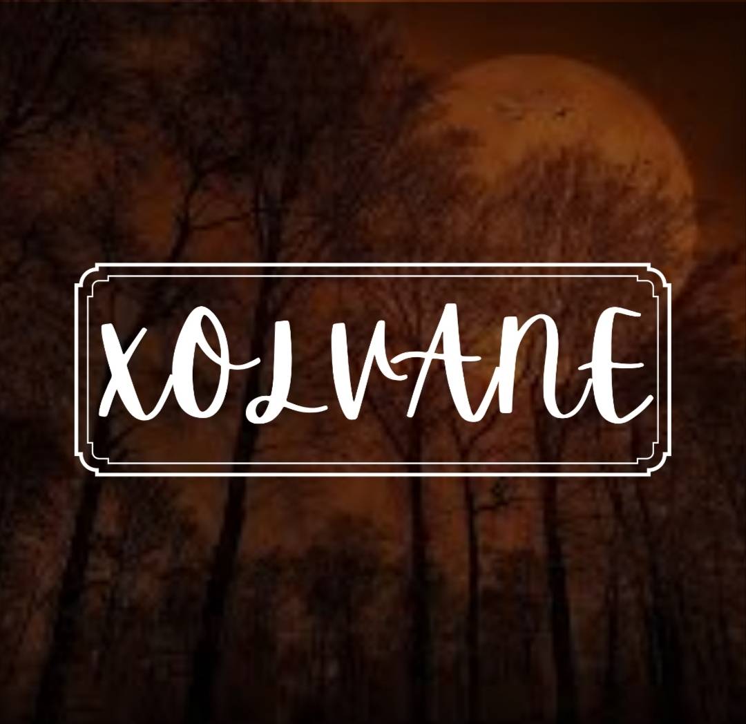 Discovery splash banner for /xolvane ⟢ friends ・ giveaways ・ chill・ hangout ・ vc ・ active Discord server