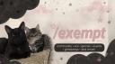 Discovery splash banner for /exempt Discord server