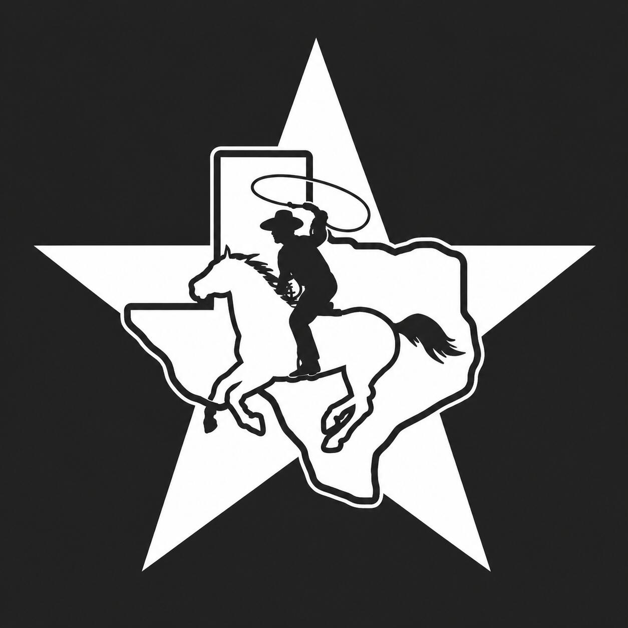 Discovery splash banner for Texas State Roleplay (Coming Soon) Discord server