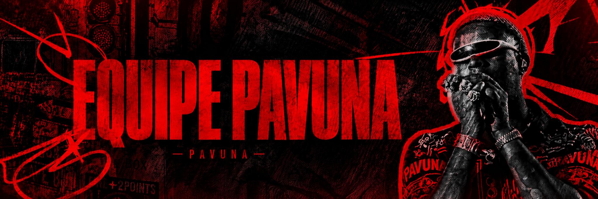 Discovery splash banner for 🇦🇱〃Pavuna2k Mods Discord server