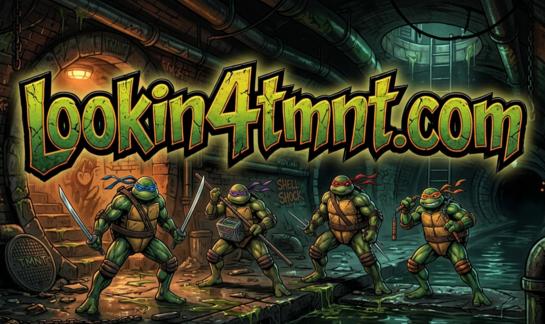 Discovery splash banner for lookin4tmnt Discord server