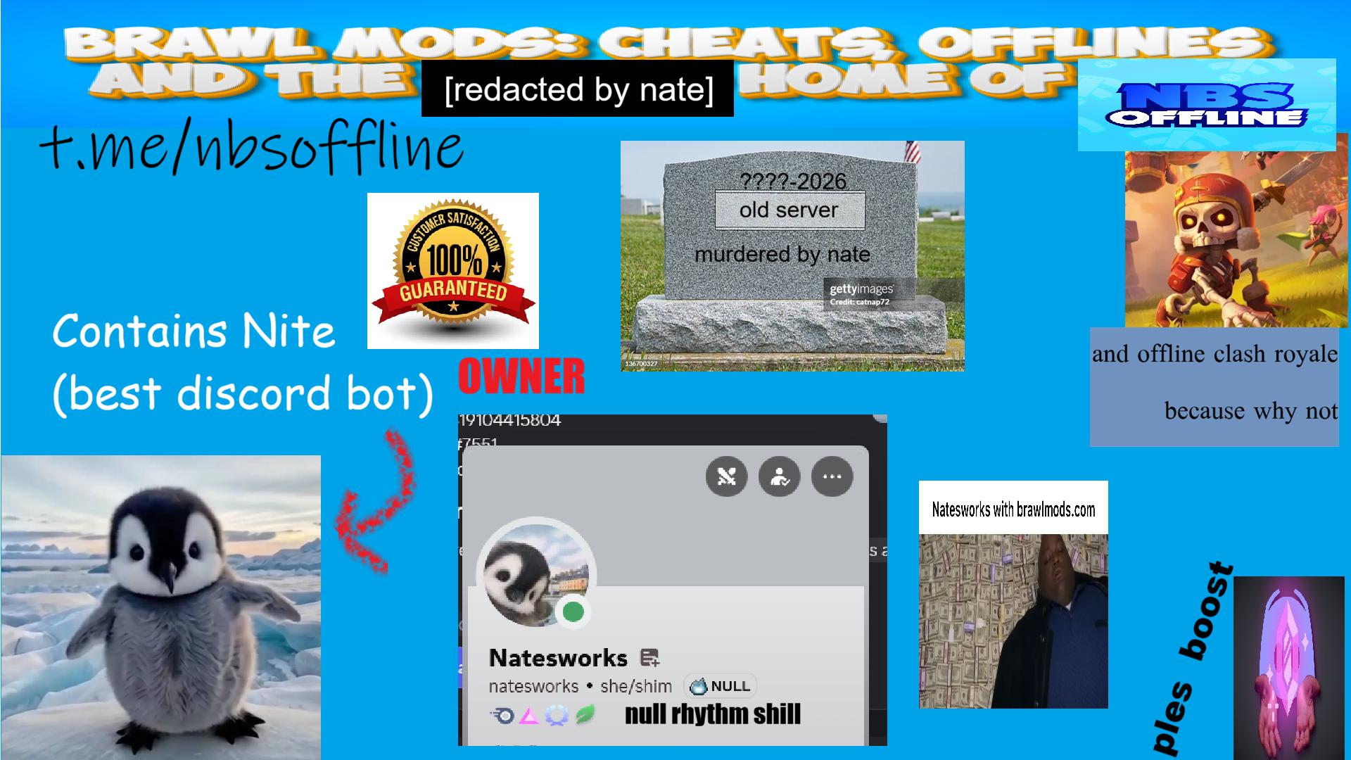 Discovery splash banner for NBS Offline | Royale Offline Discord server