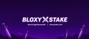 Discovery splash banner for BloxyStake.com Discord server