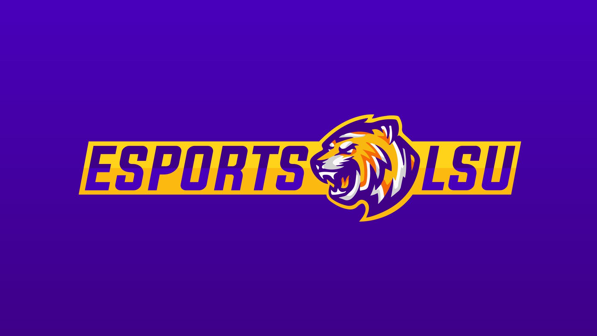 Discovery splash banner for Esports LSU Discord server