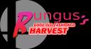Discovery splash banner for Harvest (nobody can stop me from renaming the server) Discord server