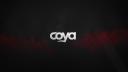 Discovery splash banner for Coya Discord server