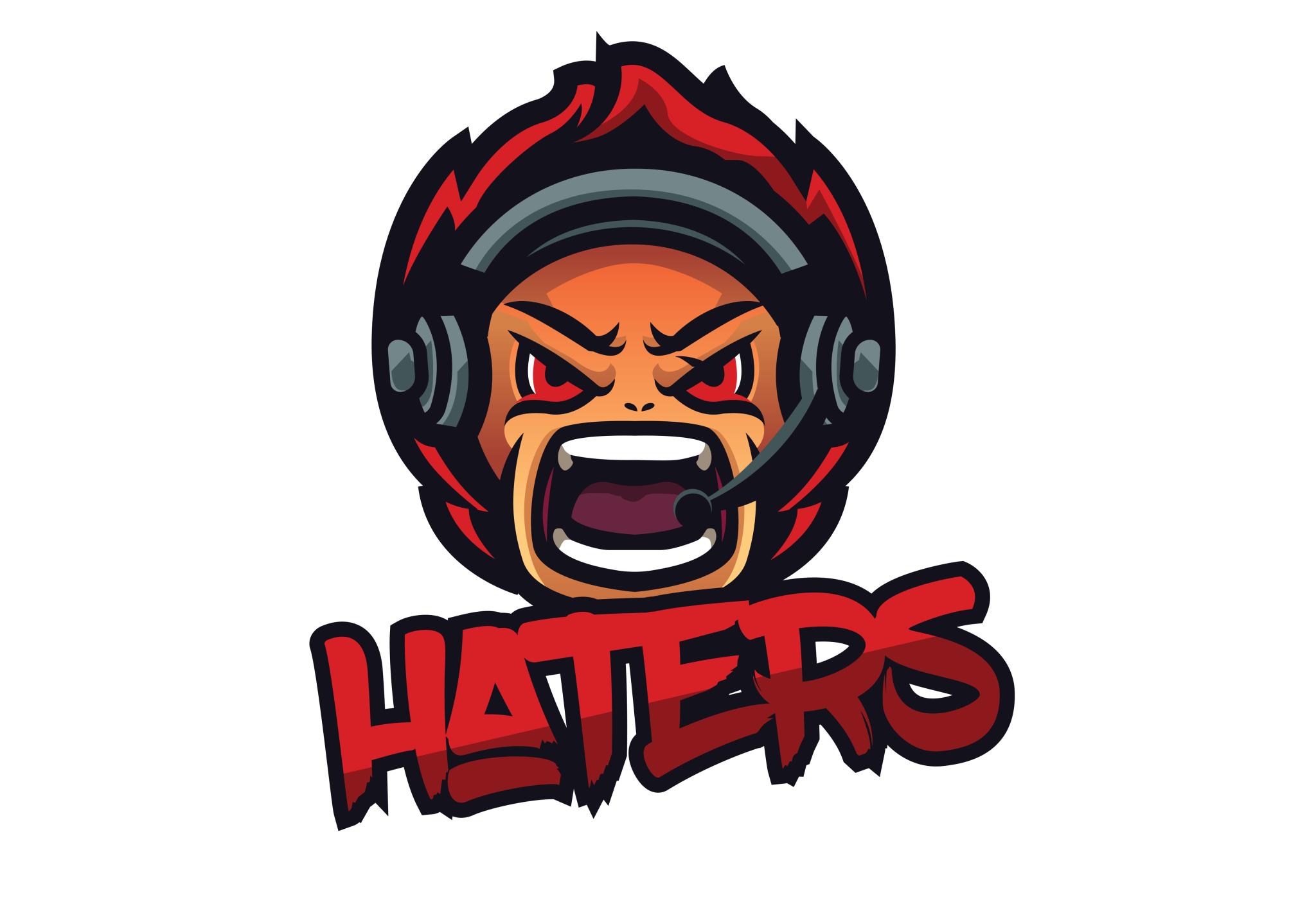 Discovery splash banner for Haters Community Discord server
