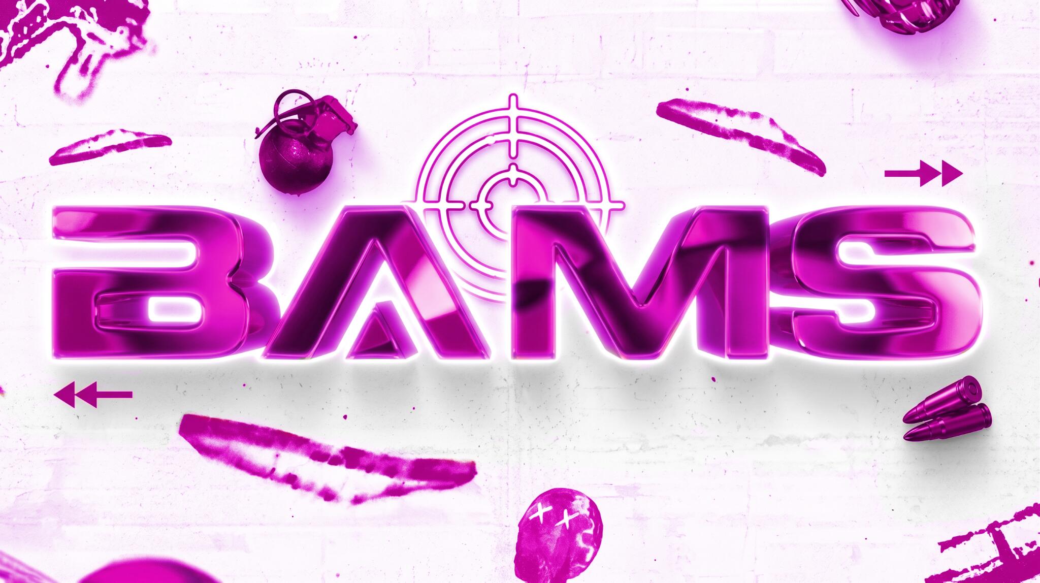 Discovery splash banner for BAMS Discord server
