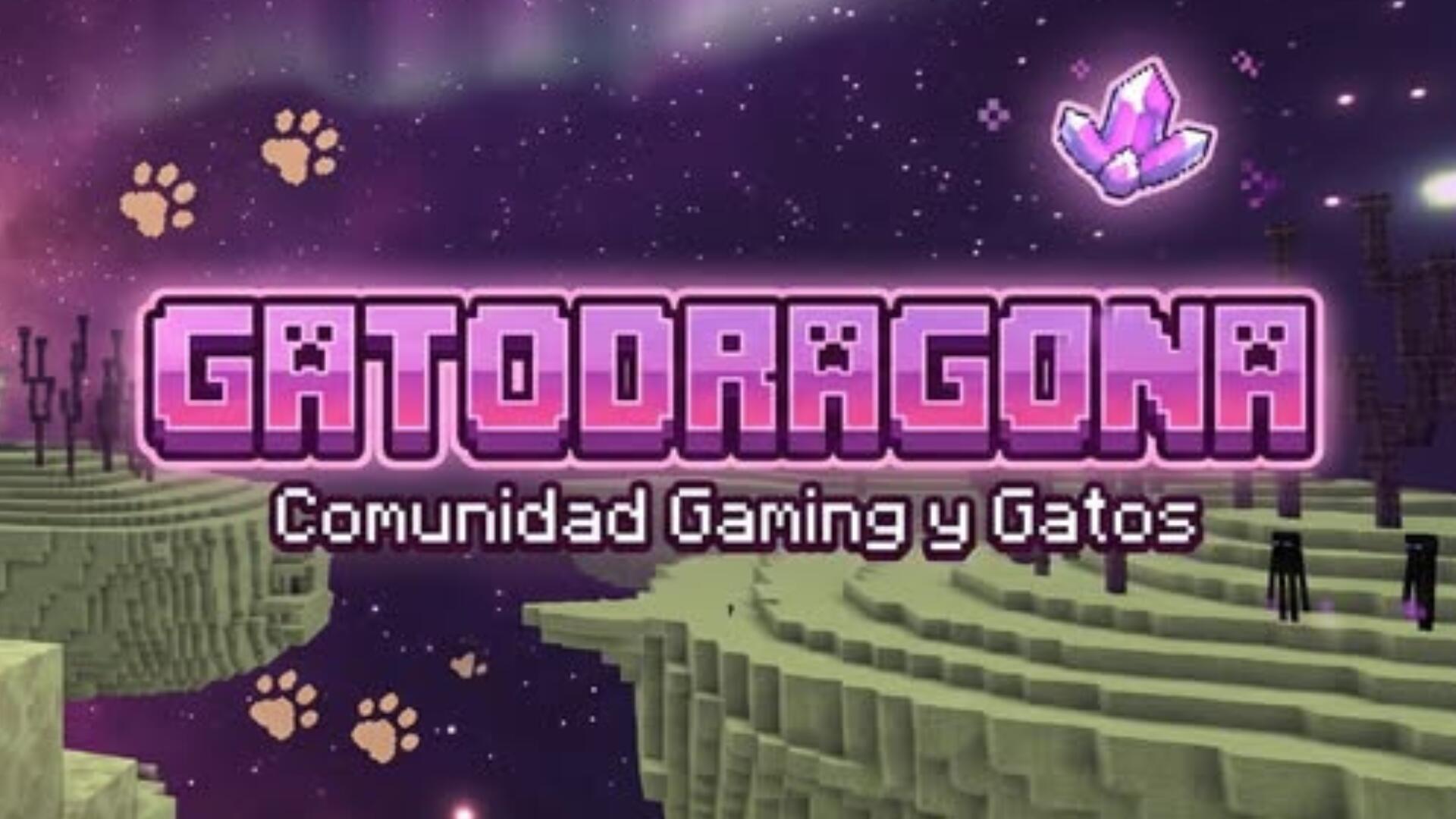 Discovery splash banner for Gatodragona Discord server