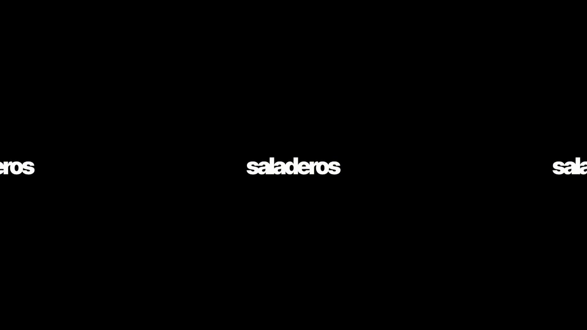 Discovery splash banner for ⚽ ‹﹐Saladeros #UNE ²⁰²⁶ Discord server