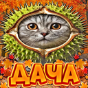 Discovery icon for 🍁〡Дача Зейна〡🍂 Discord server