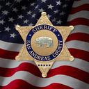 Discovery icon for Sheriff´s Department | NewGamers 1 Discord server