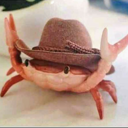 Discovery icon for La choza de los crustaceos Discord server