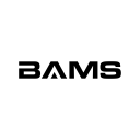Discovery icon for BAMS Discord server